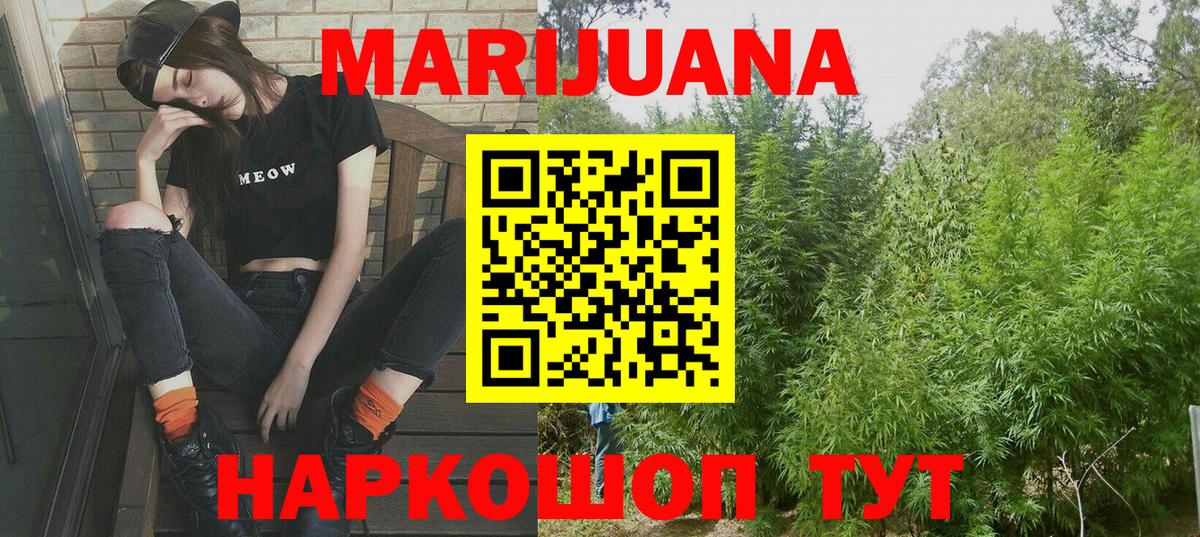 Конопля планчик Сосновый Бор